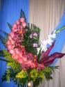 Fotos de Inversiones Happy Flowers, C.a.