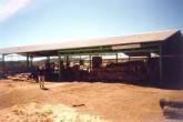 Fotos de Inversiones Lindermann Caringella, C.a