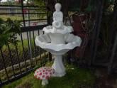 Fotos de Inversora Vivero Della Rana, S.r.l
