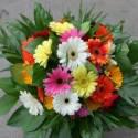 Fotos de Jardín Floristería Guaicaipuro