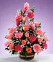 Fotos de Jardin Y Floristeria La Orlandesa C.a. Rif: J-001695680