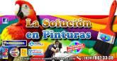Fotos de La Solucion En Pinturas