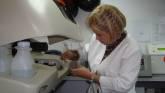 Fotos de Laboratorio Clínico Y Bacteriológico Landaeta F.p.