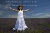 Fotos de Marketing Por Internet, Publicidad On Line