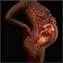 Medico Gineco-Obstetra Nicolas Galindo Pinto