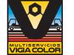 Multiservicios Vigia Color,c.a