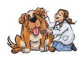 Mundo Animal Pets