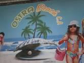 Fotos de Ostra Beach, Ca.
