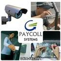 Fotos de Paycoll Systems C.a.