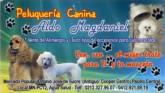 Fotos de Peluqueria Canina Aldo Magdaniel
