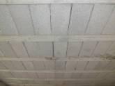Placa Actual, C.a. Rif: J- 31635231-5