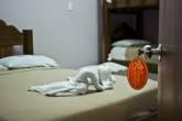 Fotos de Posada Turistica Mi Camino C.a
