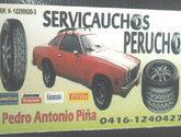 Fotos de Servicauchos Perucho