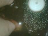 Fotos de Terapia Ionica