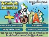 Fotos de Tienda De Animales +Kota´s 2121, C.a.   Rif. J-299213586