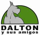 Tienda De Mascotas Dalton Y Sus Amigos