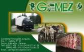 Fotos de Transporte Mayor De Carnes Gomez 2008