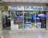 Fotos de Ventas De Animales El Azulejo C.a.