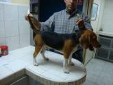 Fotos de Veterinaria San Lazaro, S.a.