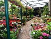 Fotos de Vivero El Bosque C.a.