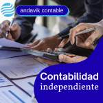 Logo Andavik Contable