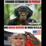 Disbralent C.a.