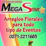 Floristeria Megastar (Distribuidora Megastar C.a)