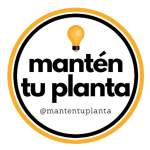Fotos de Manten Tu Planta