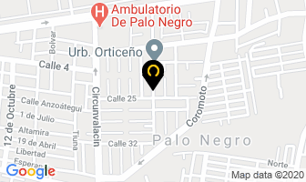 Mapa de Distribuidora Other C.a. en Palo Negro