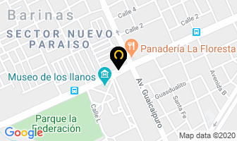 Mapa de Estetica Facial-Corporal G.v. Nelly Carvajal en Barinas