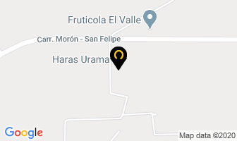 Mapa de Haras Urama en San Felipe