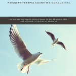 Fotos de Psicokid