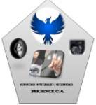 Seguridad Phoenix